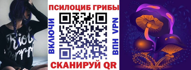 Псилоцибиновые грибы MAGIC MUSHROOMS  Купить закладки  Волжский 
